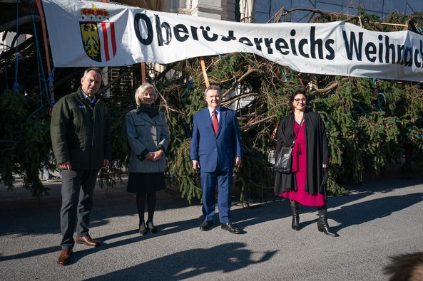 Božićno drvce na bečkom Christkindlmarktu ove godine iz Gornje Austrrije